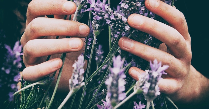In-Person Circular Breathwork