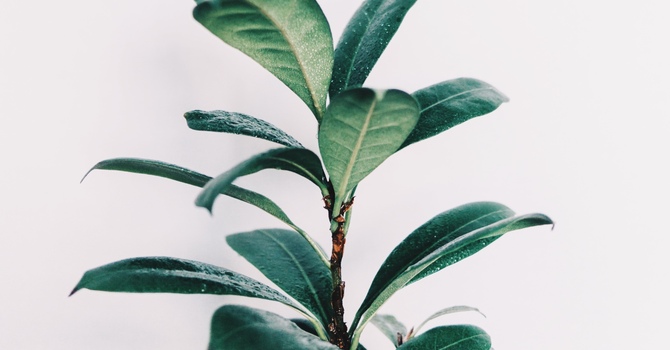 What's Going On When Your Hips Are Making Noise?