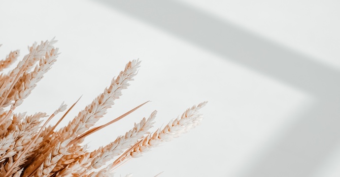 What's Going On When Your Hips Are Making Noise? image